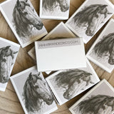 mini matches, horse portrait cover