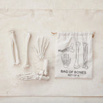 Set of model bones with a drawstring bag labeled 'Bag of Bones Set of 4' on a beige background.
