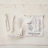 Set of model bones with a drawstring bag labeled 'Bag of Bones Set of 4' on a beige background.