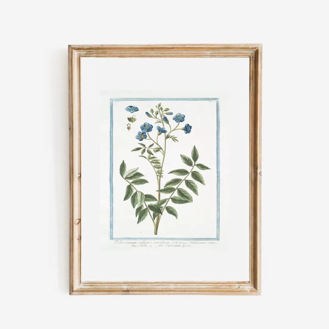 Print, 18th Century Blue Flowers - Danshire Market and Design 