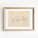 Print, Horse Grazing Sketch - Danshire Market and Design 
