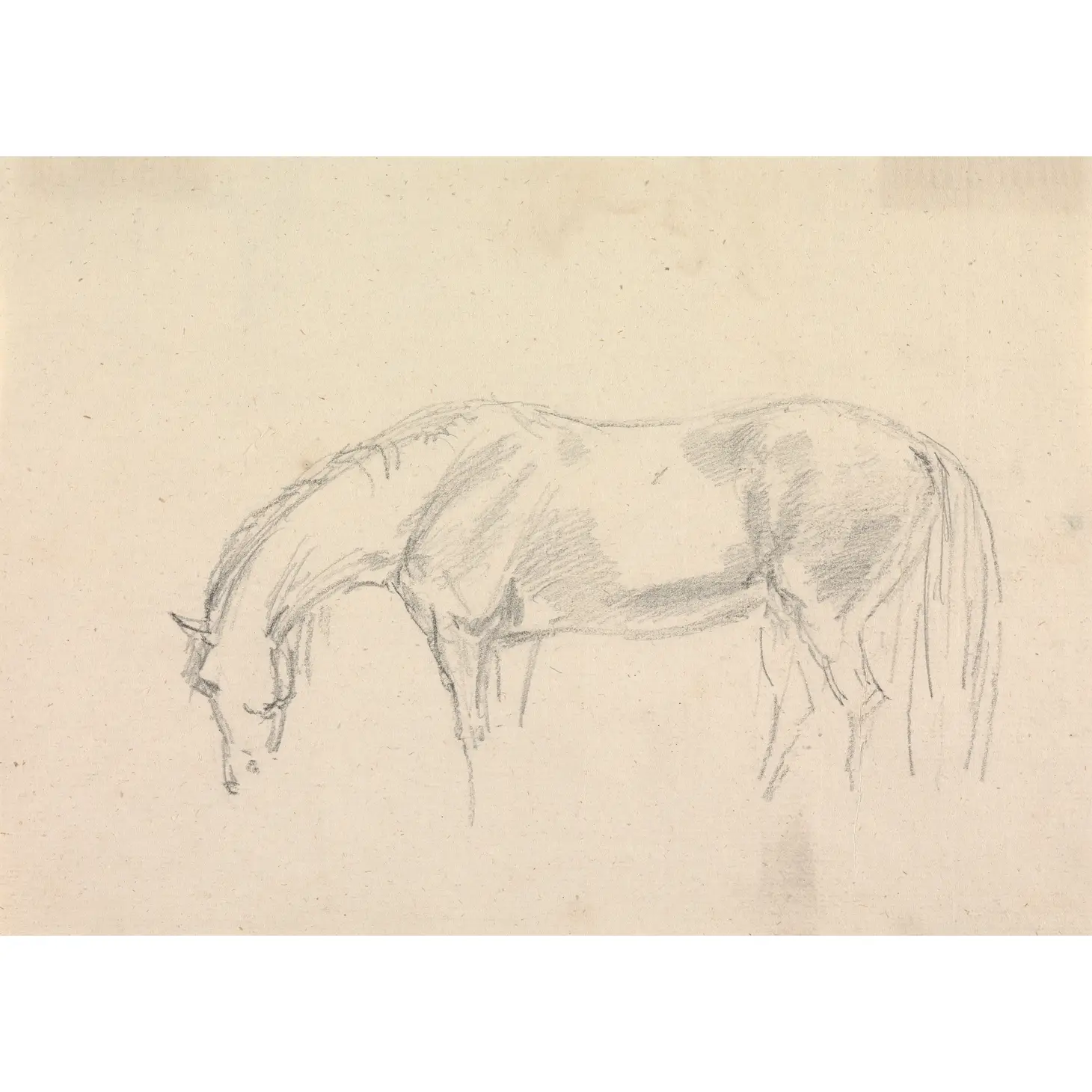 Print, Horse Grazing Sketch - Danshire Market and Design 