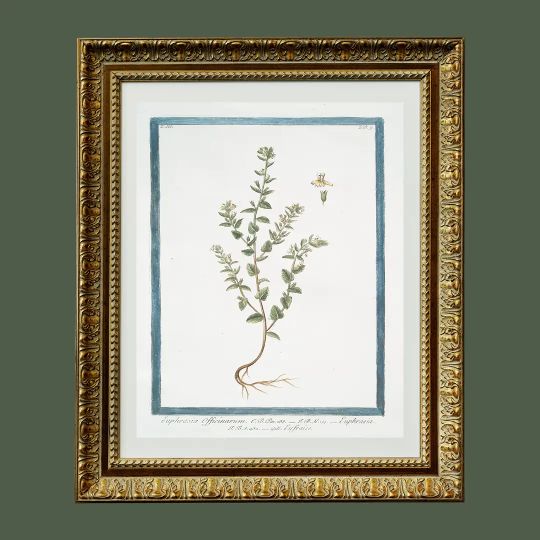 Print, 18th Century White Florals - Danshire Market and Design 