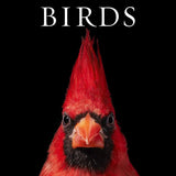Book, Birds