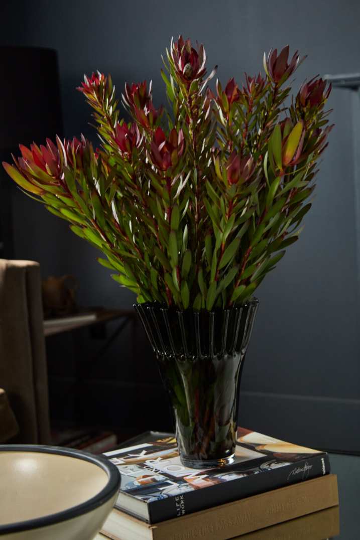 lolanthe vase, dark glass with unique opening