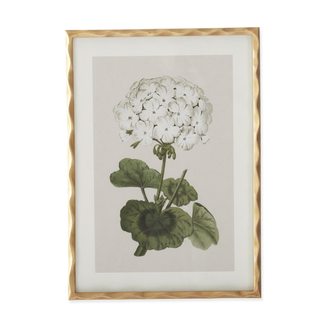 Framed botanical print of a white flower with green leaves on a beige background