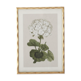 Framed botanical print of a white flower with green leaves on a beige background