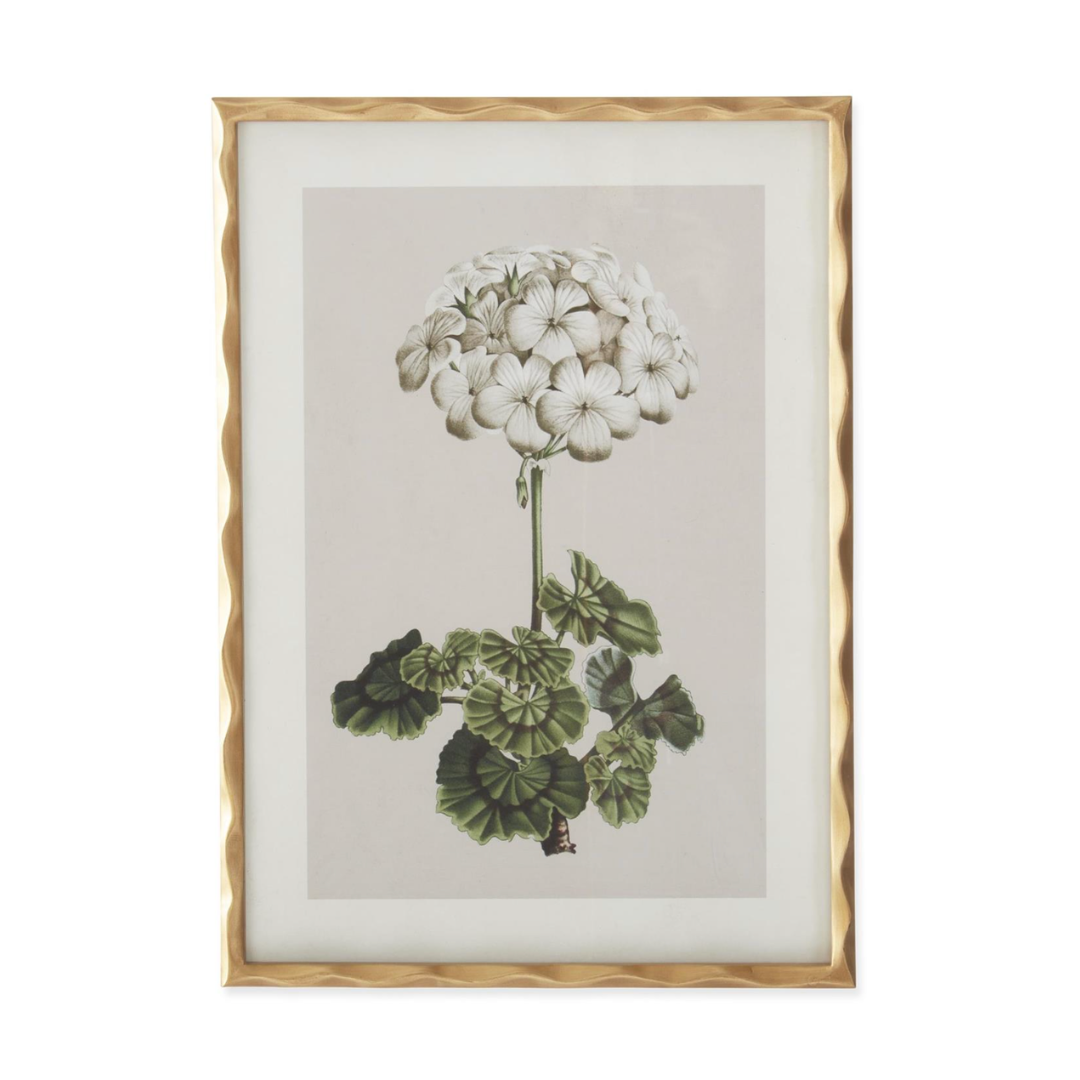 Framed botanical print of a white flower and green leaves on a beige background