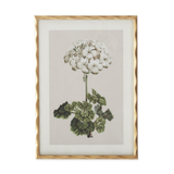 Framed botanical print of a white flower and green leaves on a beige background