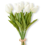 Mini Tulip Bundle - Danshire Market and Design 