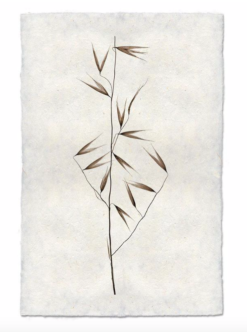 Print, Barlogo, 9x14 - Danshire Market and Design 