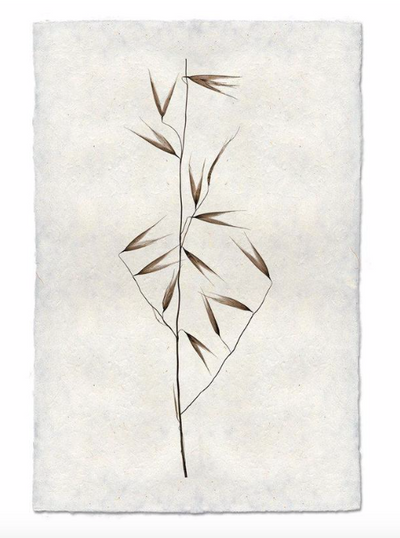 Print, Barlogo, 9x14 - Danshire Market and Design 