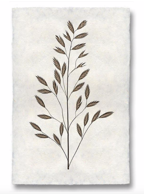 Print, Barlogo, 20x30 - Danshire Market and Design 