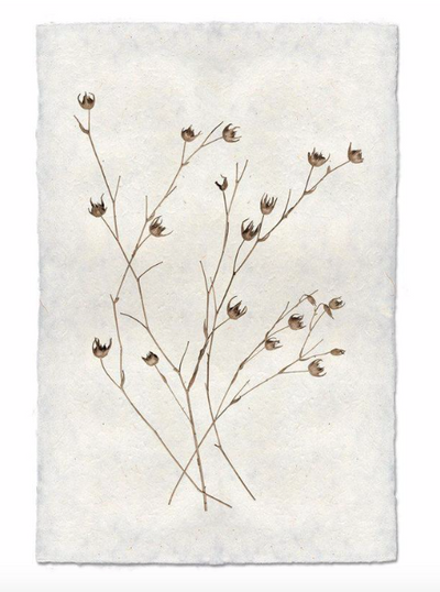 Print, Barlogo, 9x14 - Danshire Market and Design 
