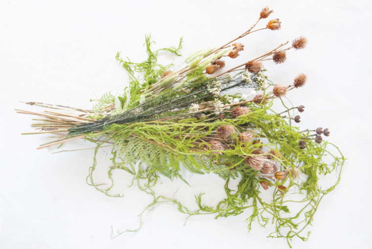 Creeping Cedar - Danshire Market and Design 