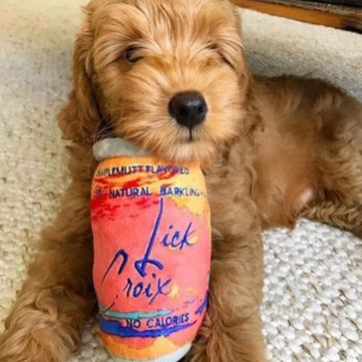 LickCroix Barkin Berry  ,Lg - Danshire Market and Design , Haute Diggity Dog  designer dog toy
