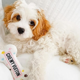 dog curled up with a white plush dog toy designed to resemble handbags with 'CHEWY VUITON' embroidered on the surface.