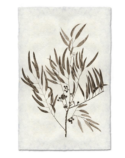 Print, Barlogo, 9x14 - Danshire Market and Design 