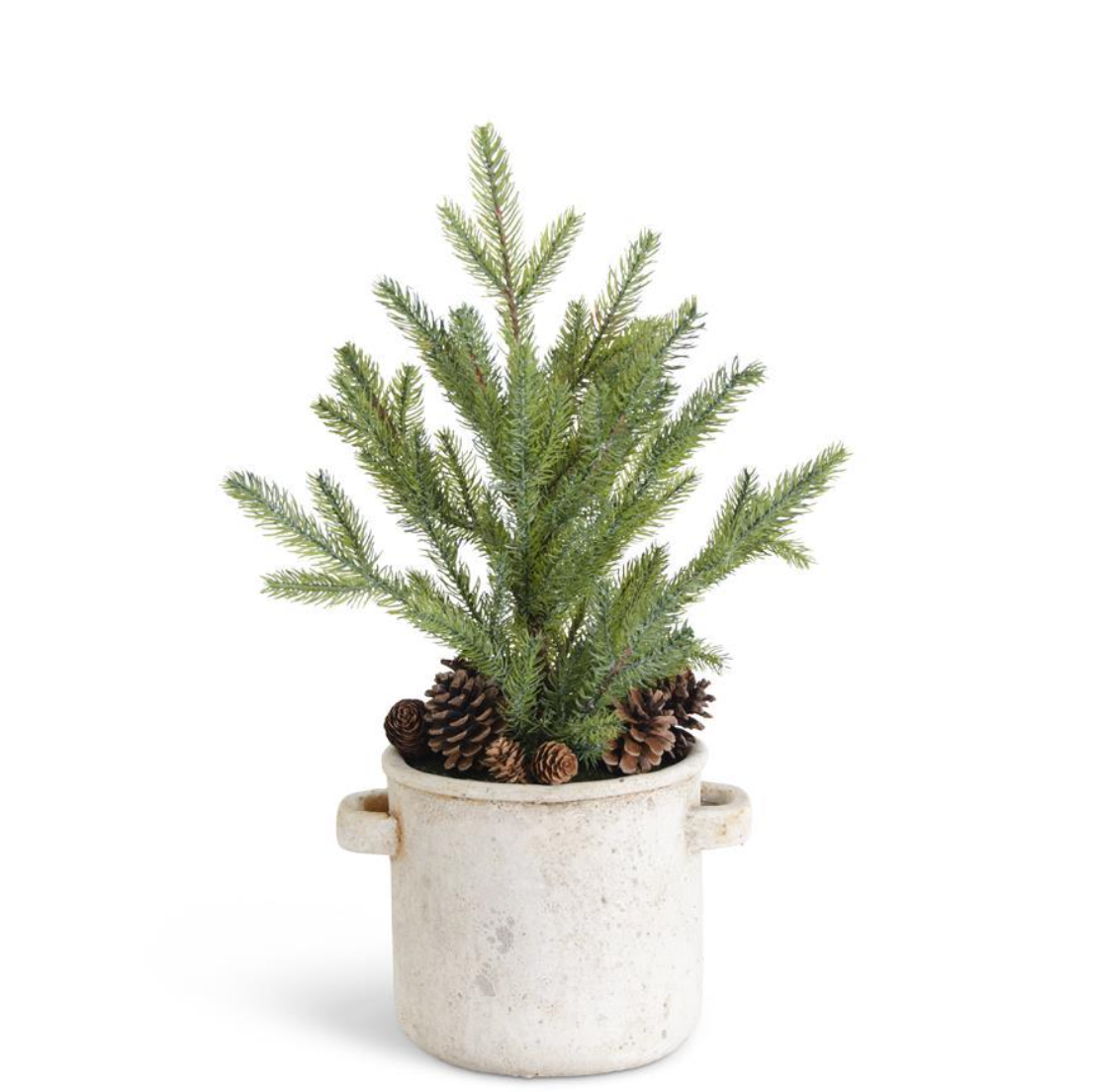 Zagat Pine Tree - Danshire Market and Design 