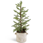 Zagat Pine Tree - Danshire Market and Design 