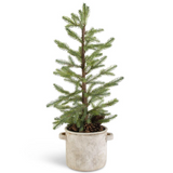 Zagat Pine Tree - Danshire Market and Design 