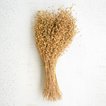 Lino Stems Bundle - Danshire Market and Design 