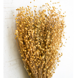 Lino Stems Bundle - Danshire Market and Design 
