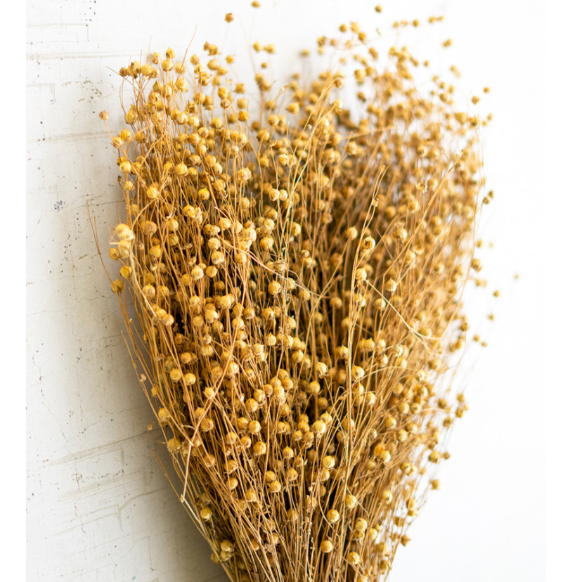 Lino Stems Bundle - Danshire Market and Design 