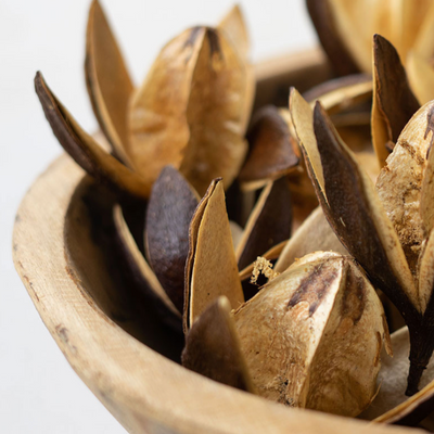 Bag of Dried Lily Pod Flowers - Danshire Market and Design 