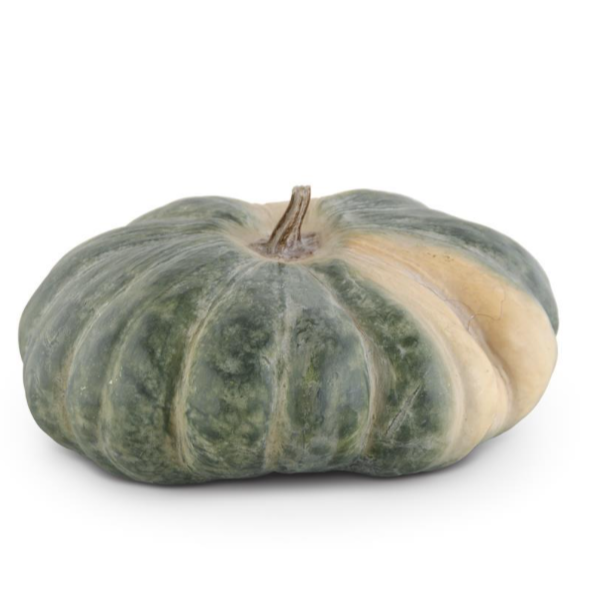 Green Lumpy Pumpkin - Danshire Market and Design 