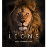 Book, Remembering Lions - Danshire Market and Design 