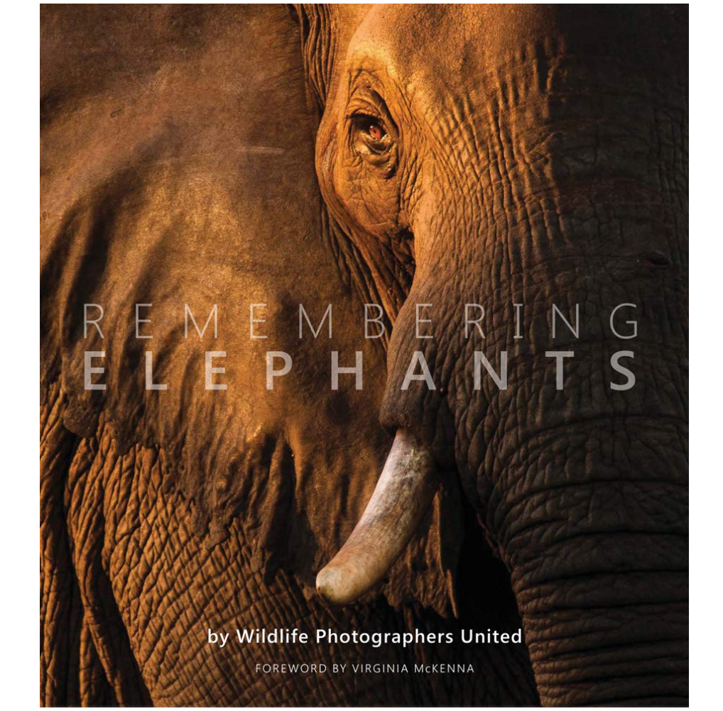 Book, Remembering Elephants - Danshire Market and Design 