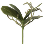 Faux Orchid Root - Danshire Market and Design 