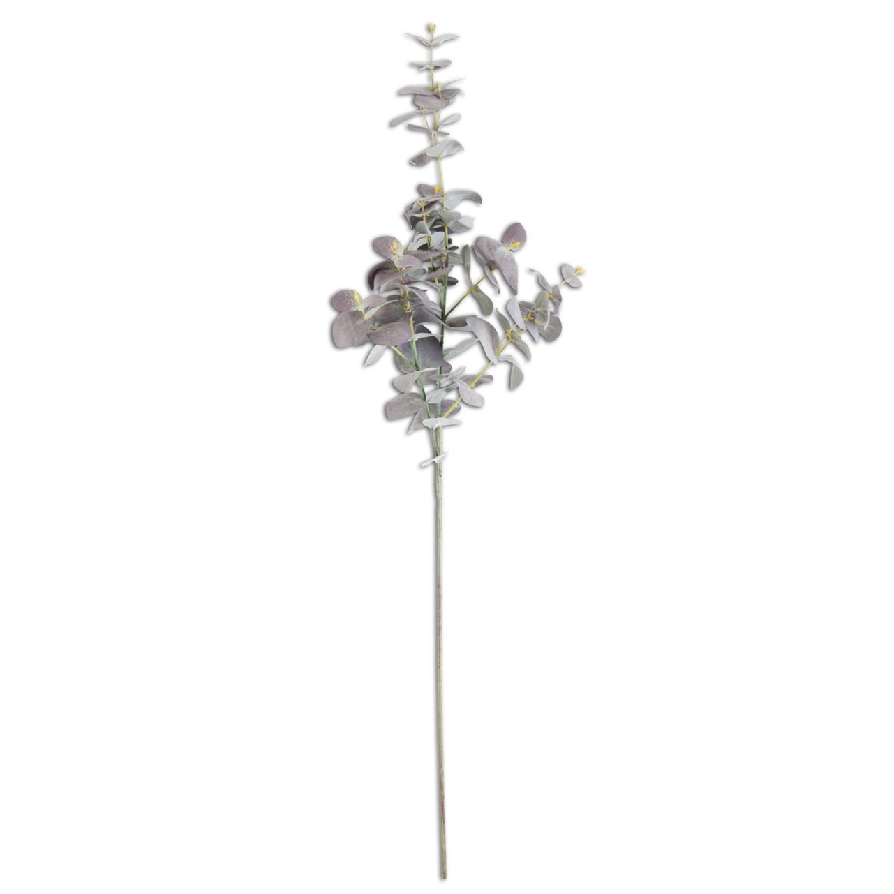 purple eucalyptus stem, dried eucalyptus, vase filler, spring dried flower