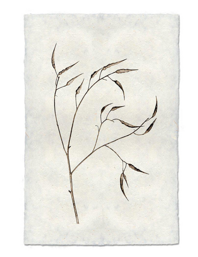 Print, Barlogo, 20x30