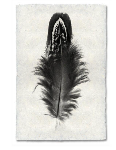 Print, Barlogo, 20x30 - Danshire Market and Design 