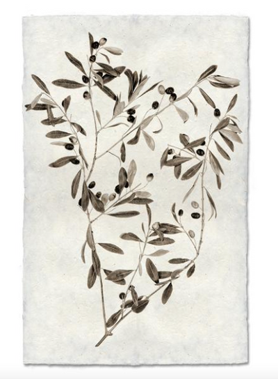 Print, Barlogo, 20x30 - Danshire Market and Design 