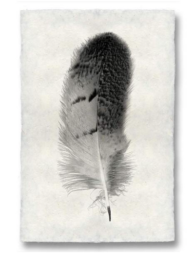 Print, Barlogo, 20x30 - Danshire Market and Design 