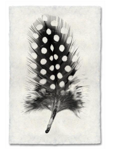 Print, Barlogo, 20x30 - Danshire Market and Design 