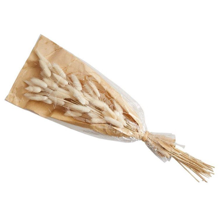 Preserved Lagrus Grass - Danshire Market and Design 