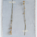 Dried Natural Love in a Mist Bunch - Danshire Market and Design 