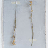 Dried Natural Love in a Mist Bunch - Danshire Market and Design 