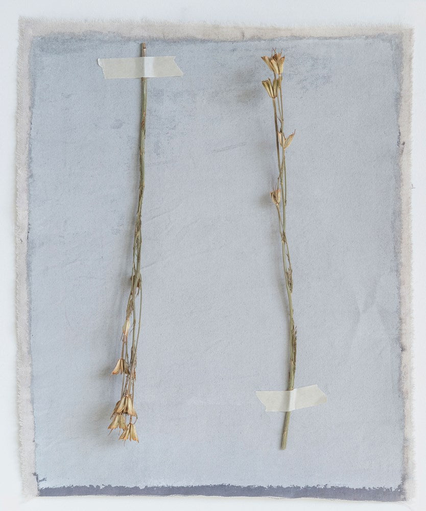 Dried Natural Love in a Mist Bunch - Danshire Market and Design 