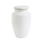 medium white terracotta ginger jar with lid on white background