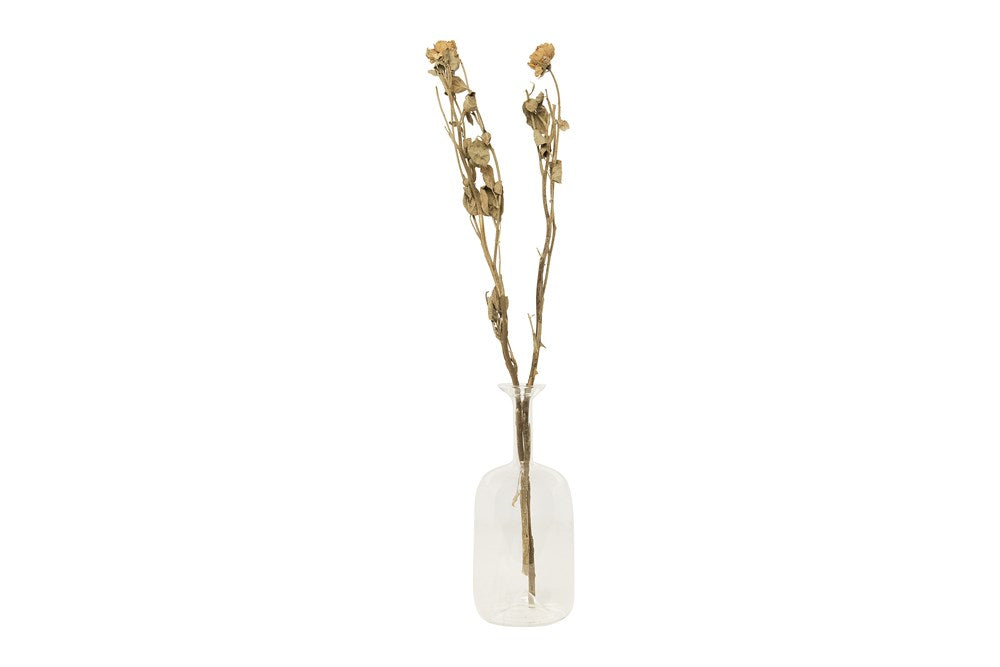 Dried Rose Stem Bunch - dried yellow rose stem 