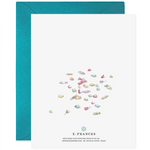 Card, Piñata Birthday - Danshire Market and Design 