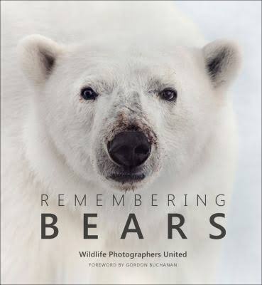 Book, Remembering Bears - Danshire Market and Design 