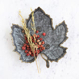 Dried Pumpkin Pods in Bag - Fall Colors - Danshire Market and Design 