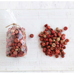 Dried Pumpkin Pods in Bag - Fall Colors - Danshire Market and Design 