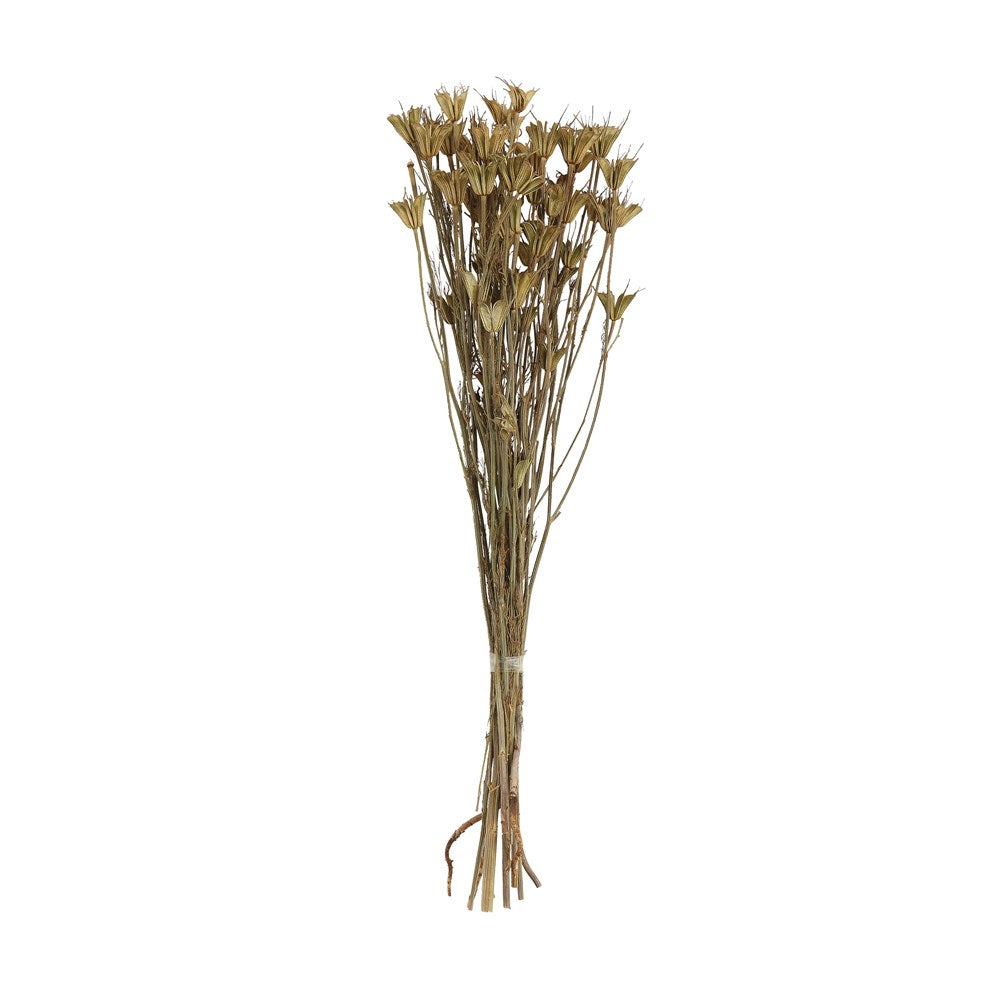 Dried Natural Love in a Mist Bunch - Danshire Market and Design 